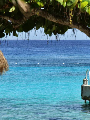 Family-friendly hotels in Cozumel